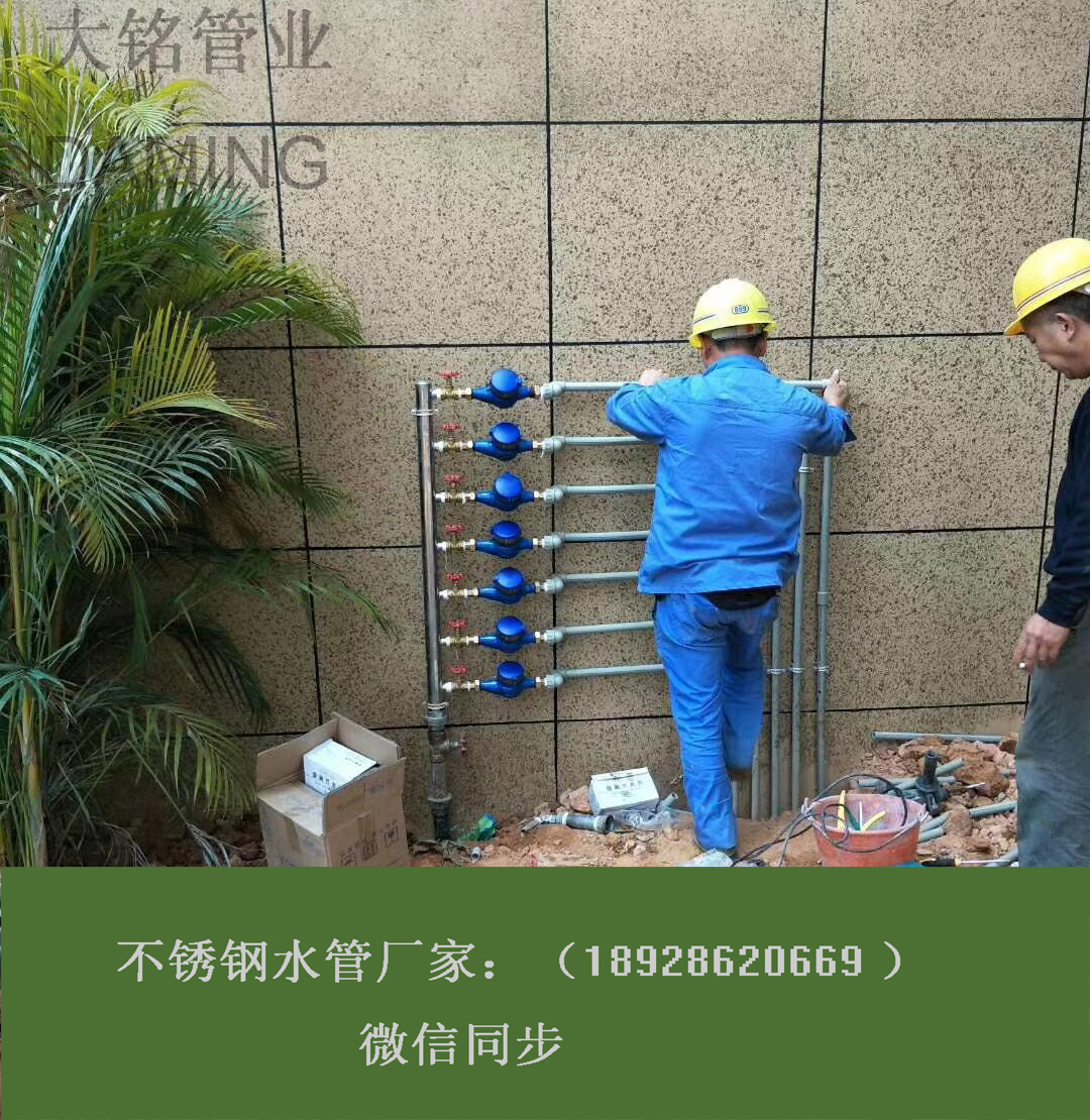 黄瓜视频在线观看集水器